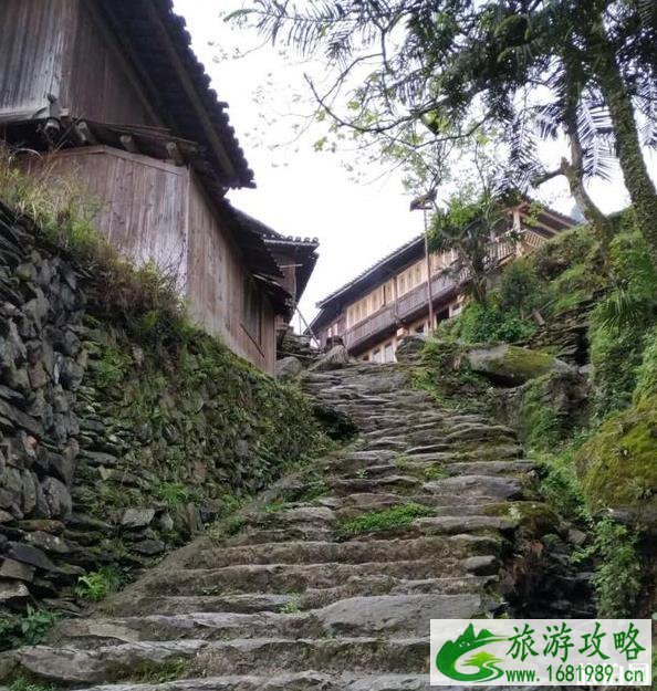 堂安侗寨游玩攻略2020 堂安侗寨游玩攻略2020