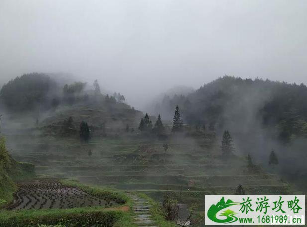 堂安侗寨游玩攻略2020 堂安侗寨游玩攻略2020