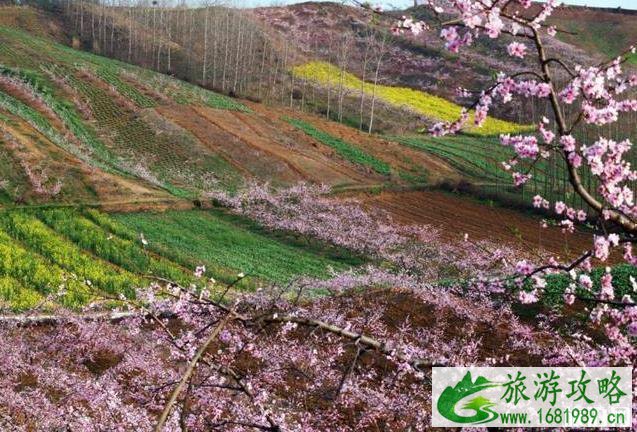 老河口市旅游景区有哪些 老河口市旅游景区有哪些