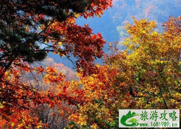 尧山风景区攻略2020