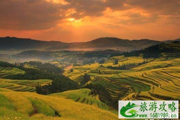 罗平马街旅游攻略 罗平马街旅游攻略