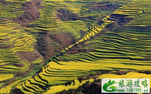 罗平马街旅游攻略 罗平马街旅游攻略