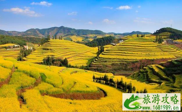 罗平马街旅游攻略 罗平马街旅游攻略