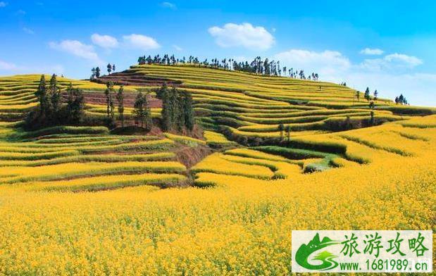 罗平马街旅游攻略 罗平马街旅游攻略