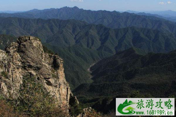 2020牛背梁门票预约流程和地址 2020牛背梁门票预约流程和地址