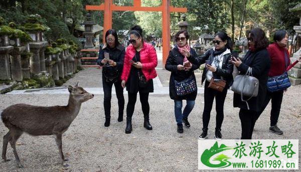 日本为外国游客提供185美元/天的优惠券 2020日本旅游优惠政策 日本为外国游客提供185美元/天的优惠券 2020日本旅游优惠政策