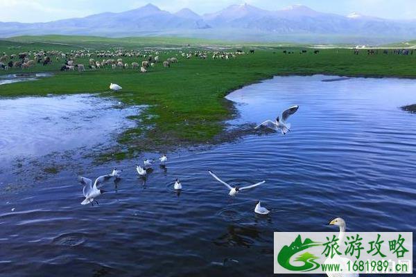 独库公路北段美还是南段美 独库公路北段美还是南段美