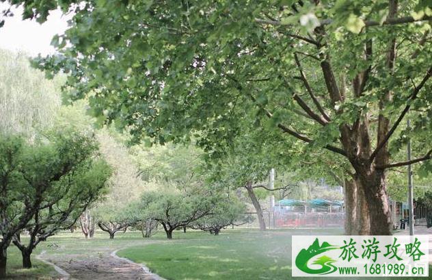 北京朝阳公园有什么好玩的 北京朝阳公园有什么好玩的