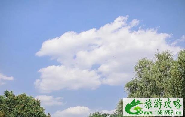 北京朝阳公园有什么好玩的 北京朝阳公园有什么好玩的