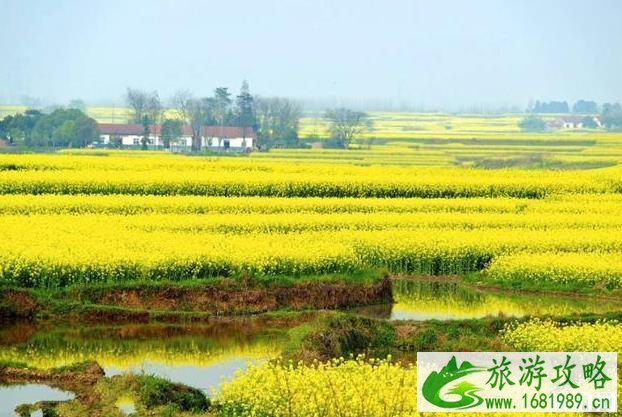 江汉平原为什么这么多湖 江汉平原为什么这么多湖