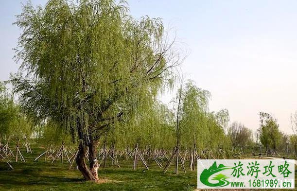 红星集体农庄纪念公园好玩吗 红星集体农庄纪念公园好玩吗