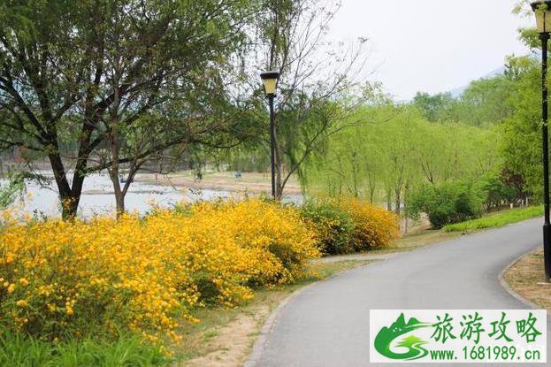 昌平新城滨河公园现在开放吗 游玩攻略 昌平新城滨河公园现在开放吗 游玩攻略