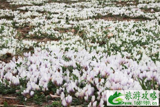 昌平新城滨河公园现在开放吗 游玩攻略 昌平新城滨河公园现在开放吗 游玩攻略