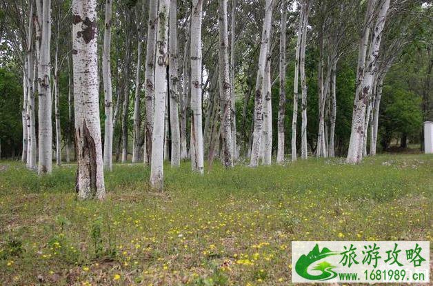 昌平新城滨河公园现在开放吗 游玩攻略 昌平新城滨河公园现在开放吗 游玩攻略