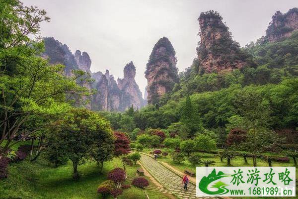 疫情过后去旅游需要注意事项什么 疫情过后去旅游需要注意事项什么