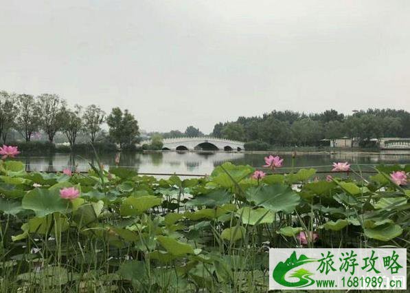 北京朝阳公园开放吗 朝阳公园游玩攻略2020 北京朝阳公园开放吗 朝阳公园游玩攻略2020