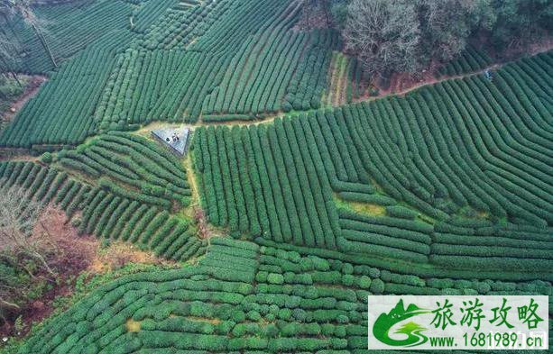 2020国内适合夏天旅游的城市 2020国内适合夏天旅游的城市