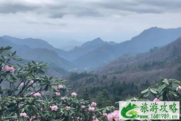 木王山国家森林公园门票多少钱 2020木王山半价优惠政策 木王山国家森林公园门票多少钱 2020木王山半价优惠政策