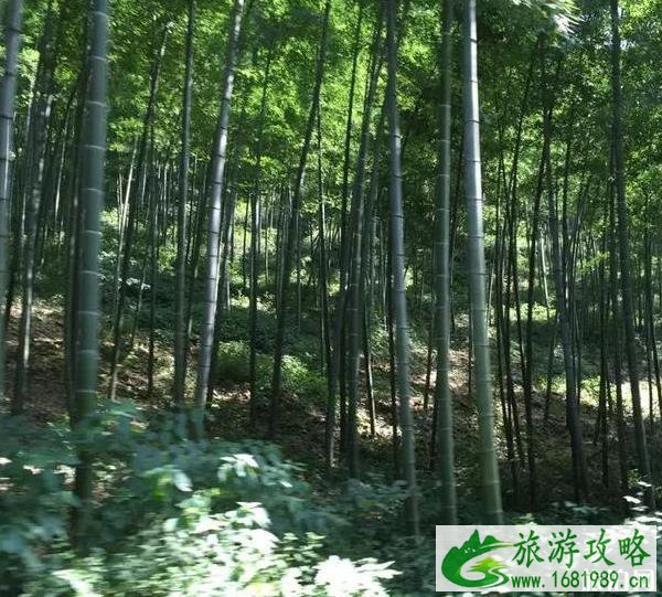 天目湖爬山攻略 天目湖游玩指南 天目湖爬山攻略 天目湖游玩指南