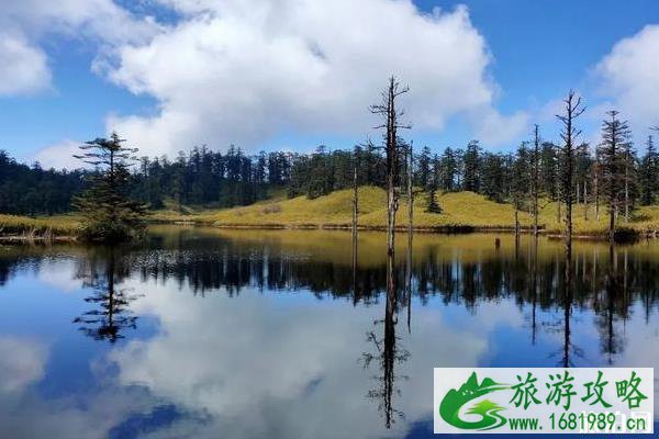 瓦屋山旅游攻略一天 瓦屋山旅游攻略一天