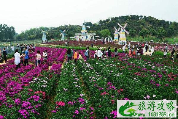 东莞植物园怎么去(地铁 公交 导游图) 东莞植物园怎么去(地铁 公交 导游图)