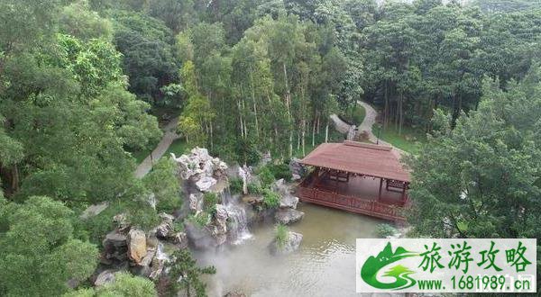 东莞植物园景点介绍 东莞植物园有什么好玩的 东莞植物园景点介绍 东莞植物园有什么好玩的