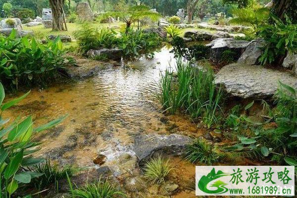 东莞植物园景点介绍 东莞植物园有什么好玩的 东莞植物园景点介绍 东莞植物园有什么好玩的