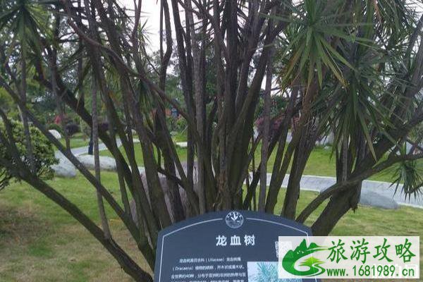 东莞植物园景点介绍 东莞植物园有什么好玩的 东莞植物园景点介绍 东莞植物园有什么好玩的