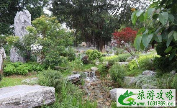 东莞植物园景点介绍 东莞植物园有什么好玩的 东莞植物园景点介绍 东莞植物园有什么好玩的