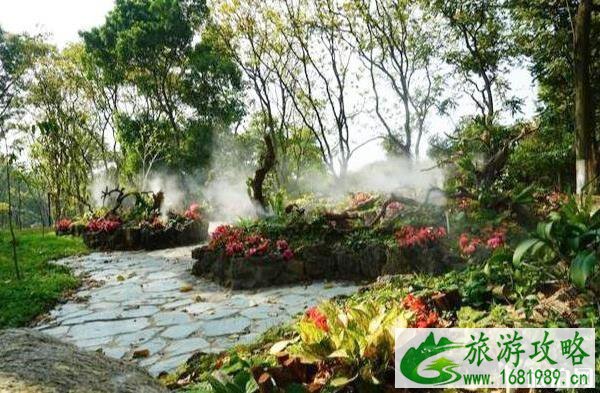 东莞植物园景点介绍 东莞植物园有什么好玩的 东莞植物园景点介绍 东莞植物园有什么好玩的