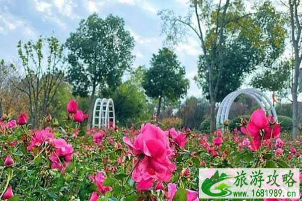 2020天生桥风景区门票预约方式和流程 2020天生桥风景区门票预约方式和流程