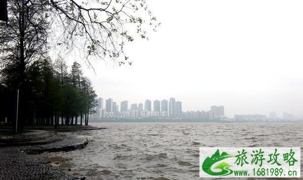 洪山区南湖游园绿道适合钓鱼吗 洪山区南湖游园绿道适合钓鱼吗