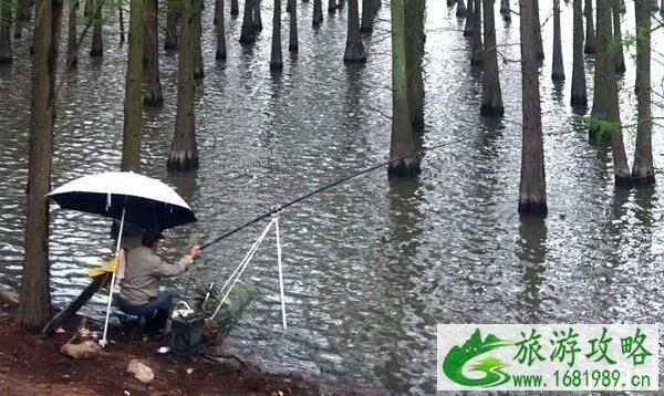 洪山区南湖游园绿道适合钓鱼吗 洪山区南湖游园绿道适合钓鱼吗