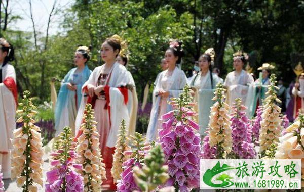 2020年西溪湿地免门票到什么时候 2020年西溪湿地免门票到什么时候