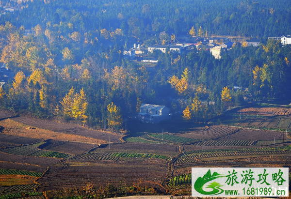 腾冲银杏村景点介绍及又游玩攻略 腾冲银杏村景点介绍及又游玩攻略