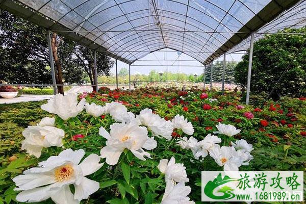 中国国花园开放时间 游玩指南 中国国花园开放时间 游玩指南