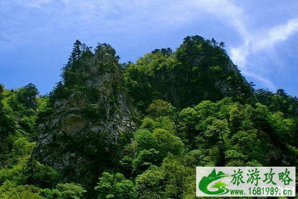 木札岭景区开放时间 免门票优惠