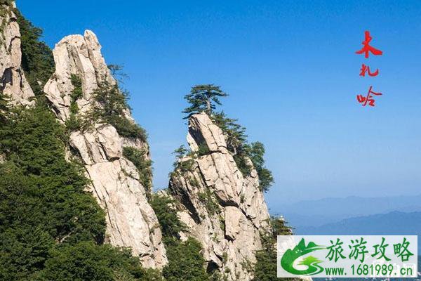 木札岭景区开放时间 免门票优惠