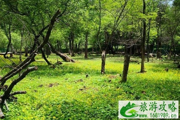 2020大水川景区开放了吗 门票优惠 2020大水川景区开放了吗 门票优惠