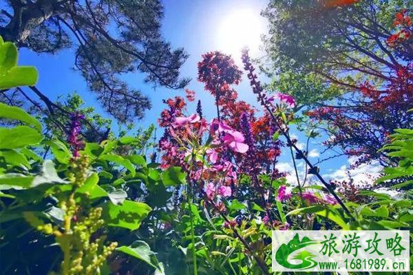 2020首届北京国际花园节举办时间和介绍
