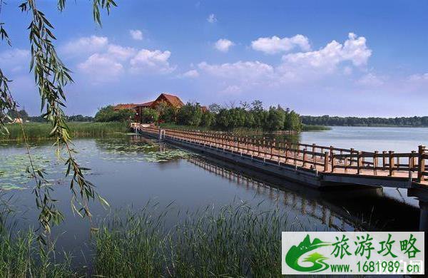 现在衡水湖可以钓鱼吗 现在衡水湖可以钓鱼吗