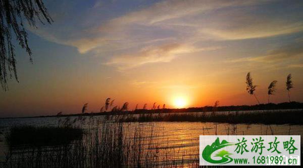 现在衡水湖可以钓鱼吗 现在衡水湖可以钓鱼吗