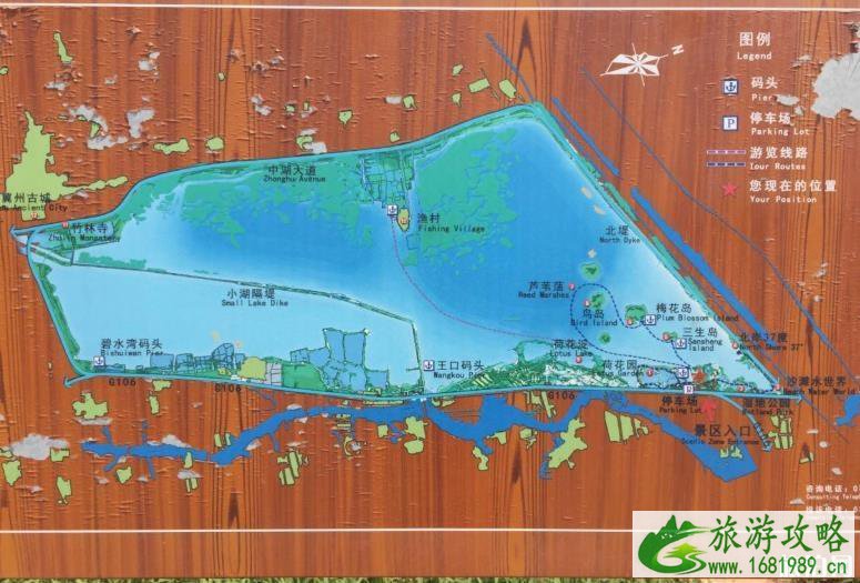 现在衡水湖可以钓鱼吗 现在衡水湖可以钓鱼吗