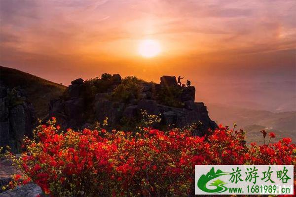 笔架山杜鹃花什么时候开和观赏攻略