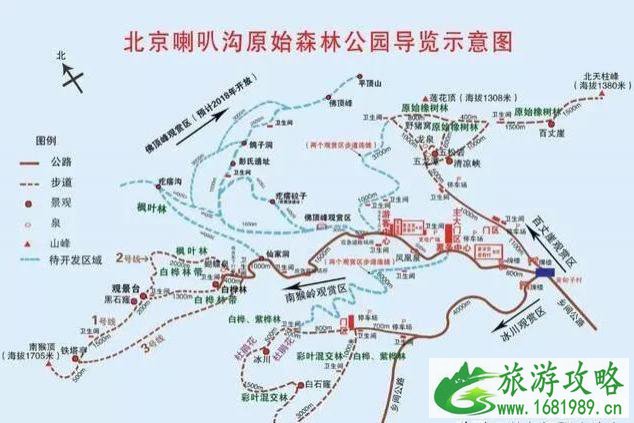 2020喇叭沟门杜鹃花什么时候开和观赏攻略