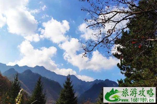 2020朱雀国家森林公园预约方式 朱雀国家森林公园怎么样 2020朱雀国家森林公园预约方式 朱雀国家森林公园怎么样