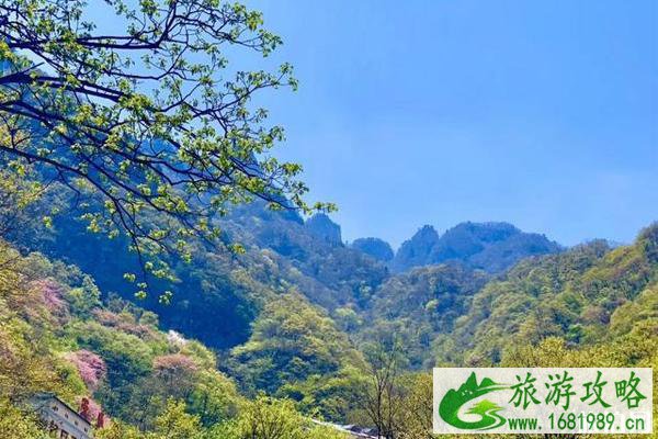 平顶山尧山杜鹃花节2020时间和地点 尧山杜鹃花节门票和活动介绍