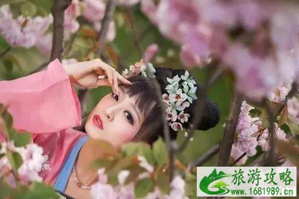 平顶山尧山杜鹃花节2020时间和地点 尧山杜鹃花节门票和活动介绍
