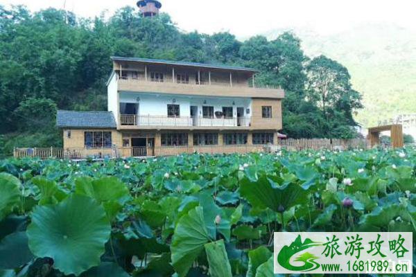 2020年五一紫云格凸河门票优惠政策 2020年五一紫云格凸河门票优惠政策