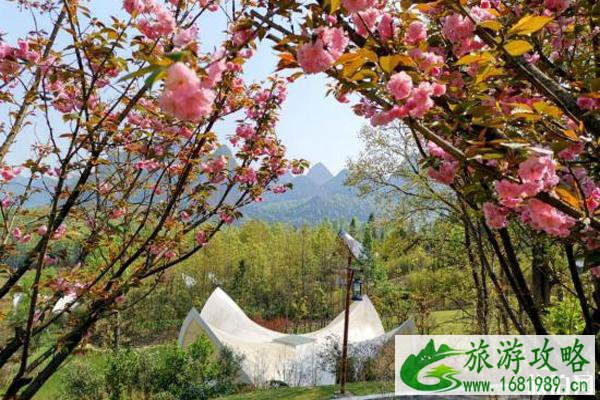 2020年五一紫云格凸河门票优惠政策 2020年五一紫云格凸河门票优惠政策